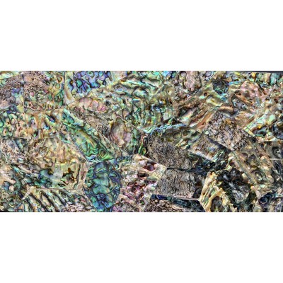 Abalone Shell - Crazy Paving