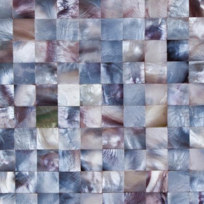 Purple Shell Checkers