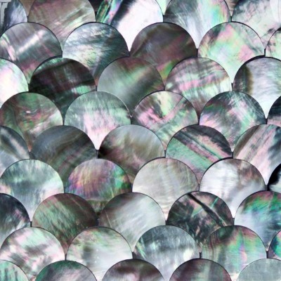 Abalone Black Fish Shape